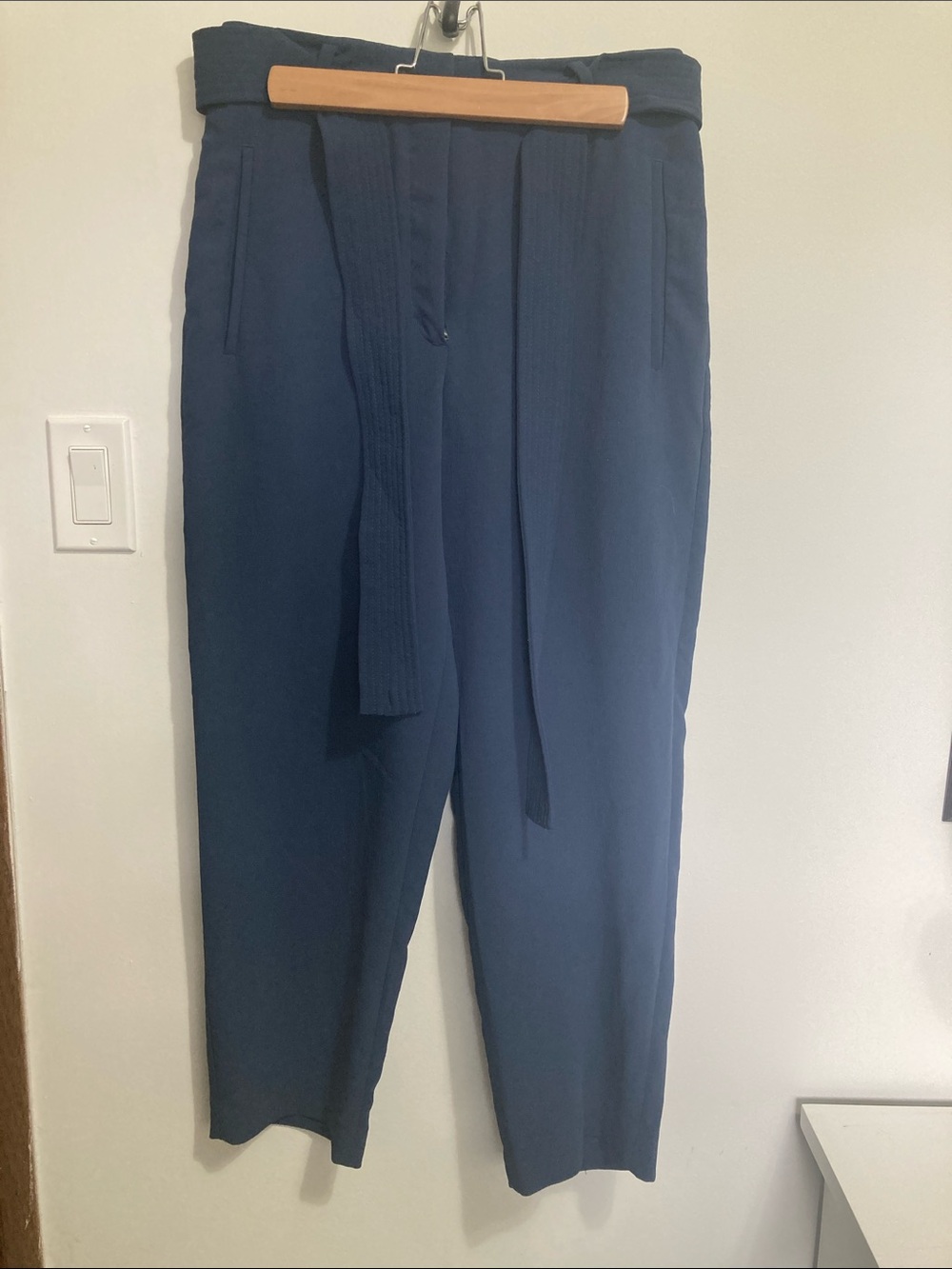 Wilfred Aritzia Tie Front Crepette pants in medium blue